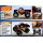 Hot Wheels Race Team Monster Truck in 1:25 AMT Model Kit Bausatz AMT1256