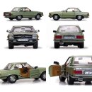 1977 Mercedes-Benz 350 SL Hard Top Coupe Silbergrün grün 1:18 Sun Star 4569